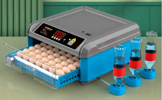 Автоматический цифровой инкубатор для яиц